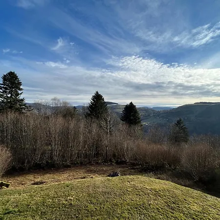 Les Bouleaux, La Montagne Des Lamas *