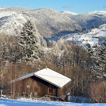 Les Bouleaux, La Montagne Des Lamas