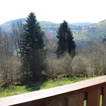 Les Bouleaux, La Montagne Des Lamas