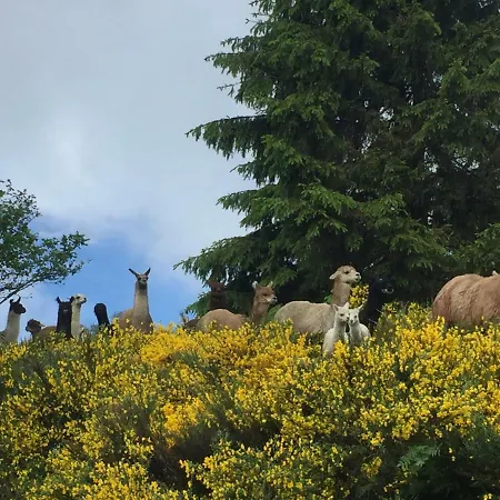Les Bouleaux, La Montagne Des Lamas בקתה *