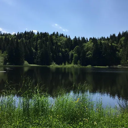 Les Bouleaux, La Montagne Des Lamas La Bresse