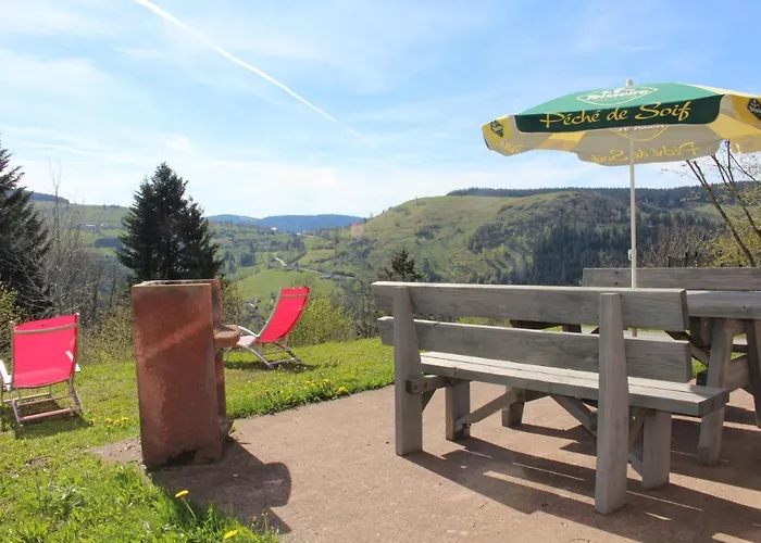 Les Bouleaux, La Montagne Des Lamas * La Bresse