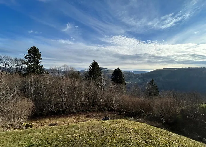 Les Bouleaux, La Montagne Des Lamas *