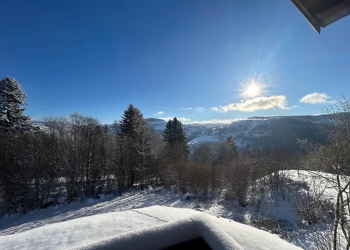Les Bouleaux, La Montagne Des Lamas Horská chata *
