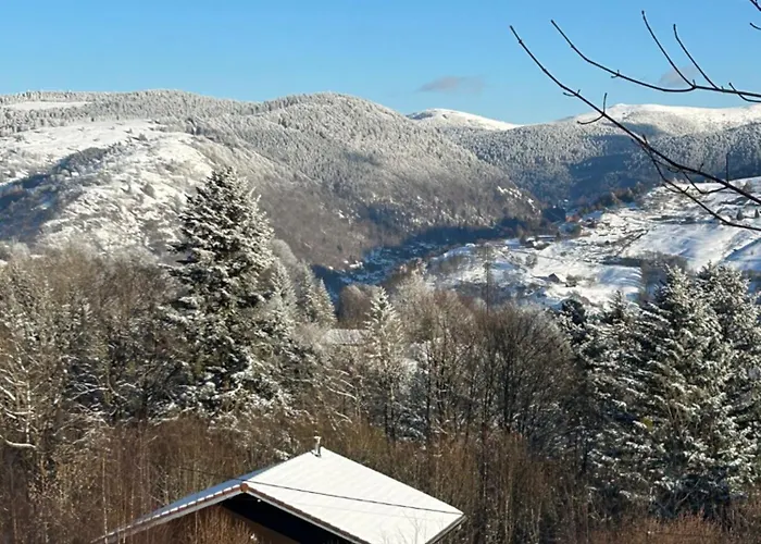 Horská chata Les Bouleaux, La Montagne Des Lamas