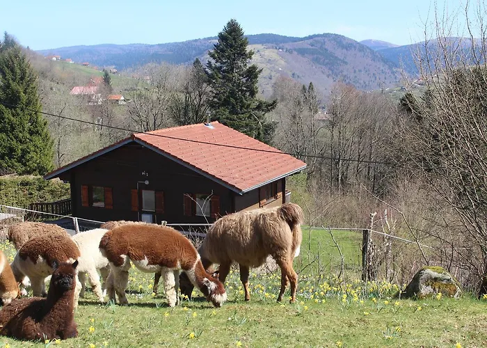 Les Bouleaux, La Montagne Des Lamas Horská chata *