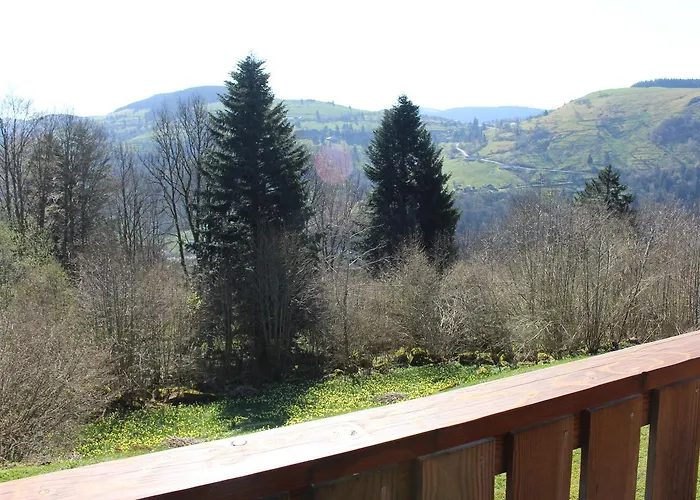 Les Bouleaux, La Montagne Des Lamas