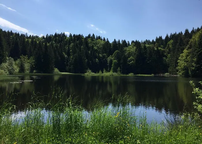 Les Bouleaux, La Montagne Des Lamas La Bresse